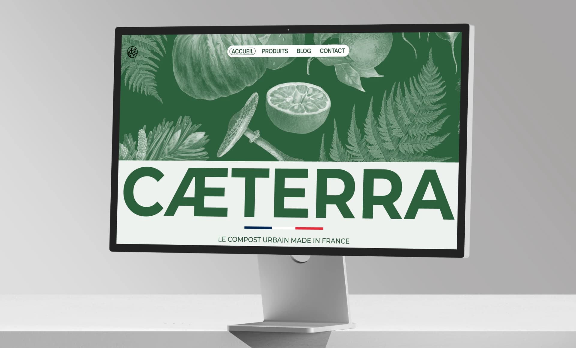 visuel du projet Cæterra